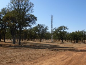 The Flux tower at California's Tonzi Ranch