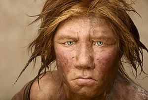 Neanderthals are the closest hominid relatives of modern humans. The two species