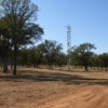Flux tower at Tonzi Ranch in California
