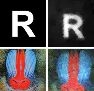 Figure 2.  Original images (left) and compressed sensing images (right) from Ric