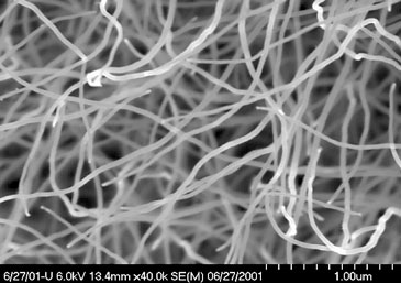 This scanning electron microscope image shows carbon nanotubes grown by chemic
