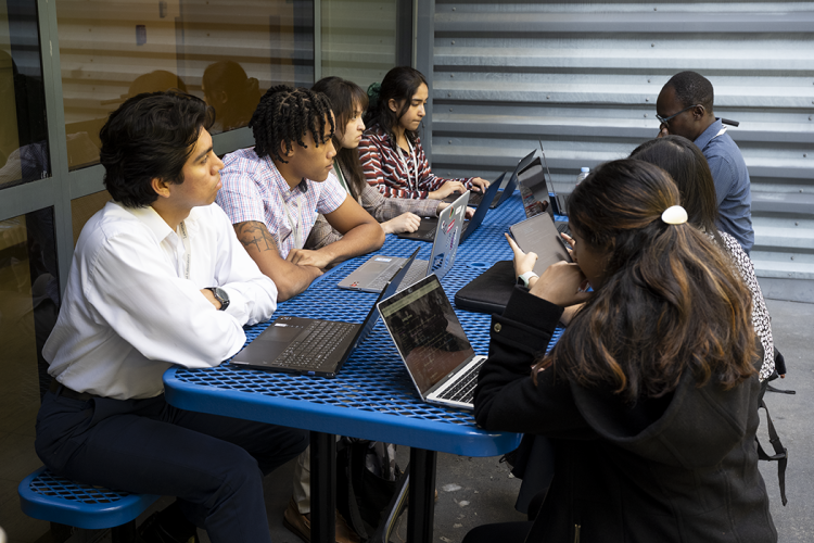 7 men and women of different ethnicities compute on laptops as a group.