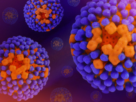 Creative artwork featuring colorized 3D prints of influenza virus (surface glycoprotein hemagglutinin is blue and neuraminidase is orange; the viral membrane is a darker orange).