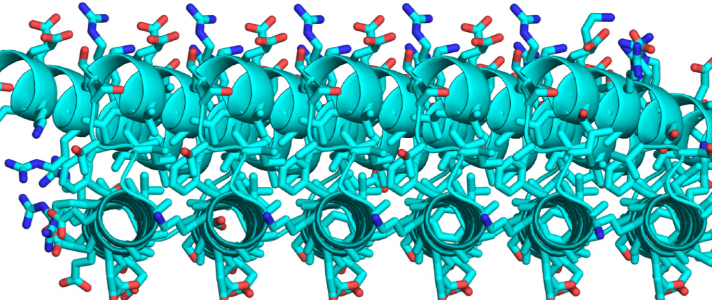 Protein Nanorods