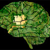 Decorative graphic of a human brain made of computer circuit boards