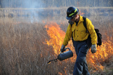 Person walking in dry grass with drip can followed by flames
