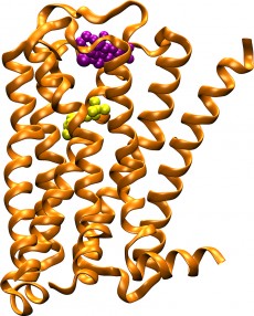 HeartDiseaseUCSD