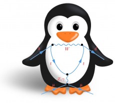 penguin