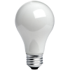 photo of incandescent lightbulb