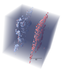 Semantic segmentation: Automated detection of dendrites (blue) and pitts (red) using Y-net, a deep-learning algorithm to automate the quality control and assessment of new battery designs that was run at NERSC on Cori and Perlmutter.