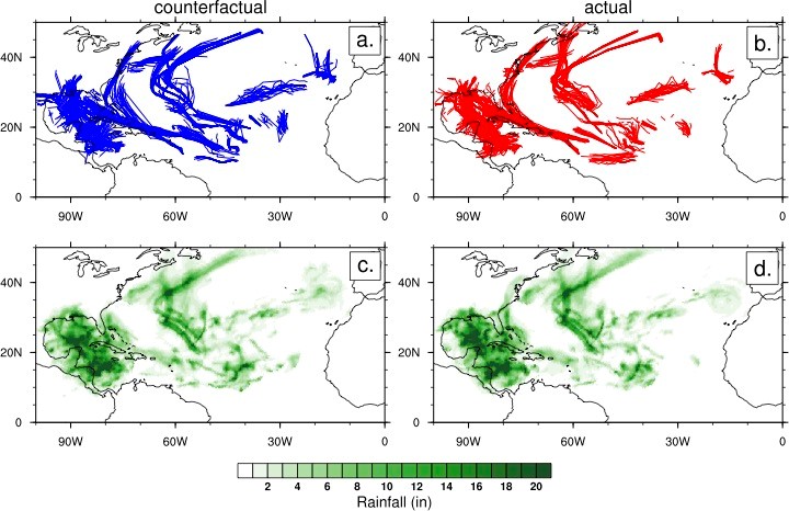 Simulated storm tracks that match observed named storms and ensemble average accumulated rainfall in inches for the 2020 North Atlantic hurricane season (June 1 to November 30) for the (b,d) actual and (a,c) counterfactual ensembles. (Credit: Kevin Reed, Stony Brook University)