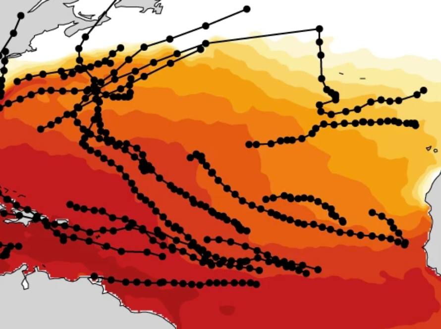 Computer visualization of the 2020 hurricane season.