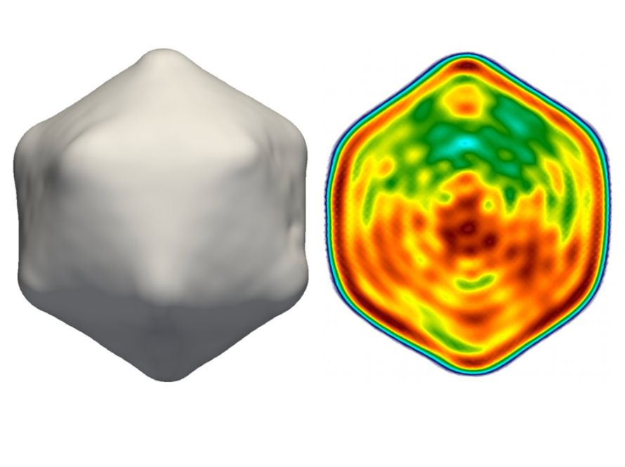 Side-by-side images showing 3D reconstructions of a virus particle. The left image is a smooth, gray, 3D model of the outer shell of the virus, resembling a rounded polyhedral shape. The right image shows a cross-sectional heatmap of the virus interior, with colors ranging from blue/green to yellow/red, indicating variations in density or material, and revealing asymmetries in the internal genetic material. These reconstructions were created using the M-TIP framework based on experimental correlation data.