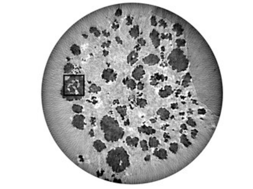 A circular grayscale image showing the reconstruction of nano-CT data with sparse projection angles using 202 projections. The image features various dark and light spots indicating different densities or compositions within the material. A small square within the circle highlights a specific area of interest for detailed analysis. This reconstruction demonstrates the effectiveness of advanced imaging techniques in suppressing noise and improving computational speed.