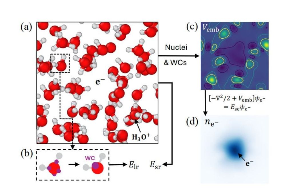 A scientific diagram showing a four-step simulation. Step (a) shows a system of water molecules with an excess electron. Step (b) shows a simplified representation of a single water molecule. Step (c) is a heat map of the system's electrical potential. Step (d) shows the final calculated probability cloud of the electron, derived from the potential in (c).