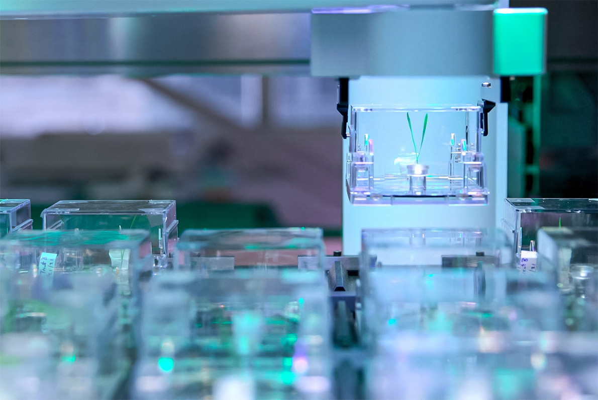 A robotic arm in a high-tech laboratory holds up a small, clear plastic container that houses a single green plant seedling. Below the raised container is an out-of-focus grid of many similar clear plastic boxes. The scene is illuminated by bright, cool blue and green lights that reflect off the plastic and metallic machinery, giving it an automated, futuristic appearance.