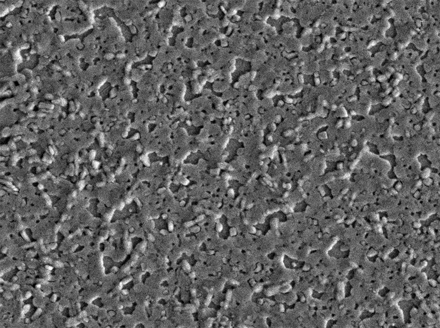 SEM image of a chiral 2D metal halide perovskite material synthesized with dimethylformamide.