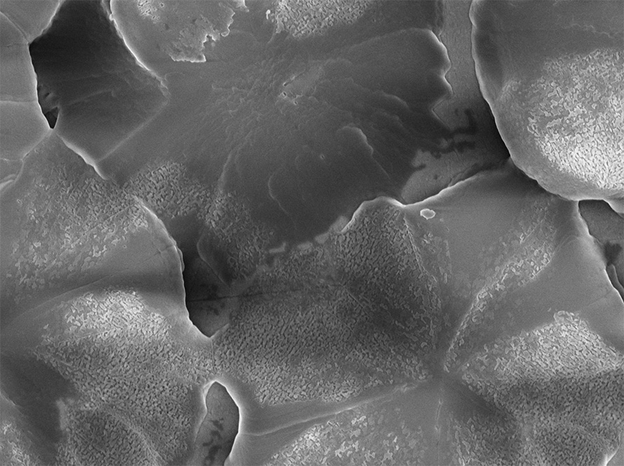 SEM image of a chiral 2D metal halide perovskite material synthesized with a mixture of acetonitrile and dimethyl sulfoxide.